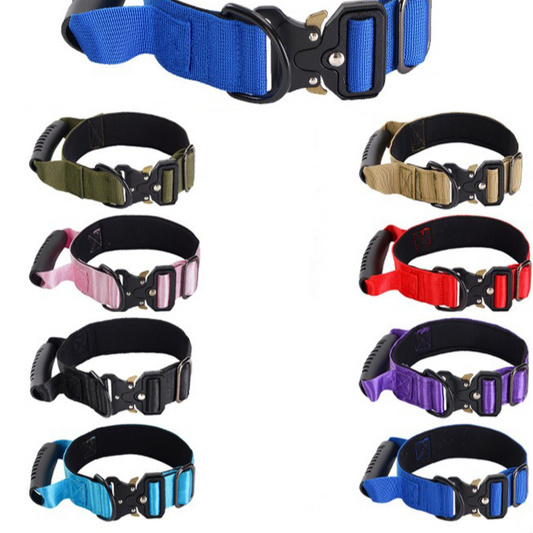 Large Breed Dog Training Collar