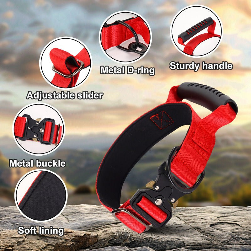 Large Breed Dog Training Collar