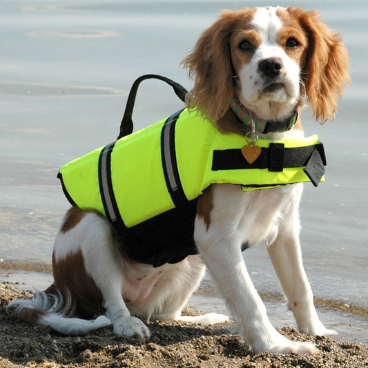 Adjustable Pet Safety Swimming Vest