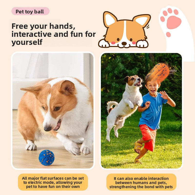 Smart Interactive Dog Toy Ball