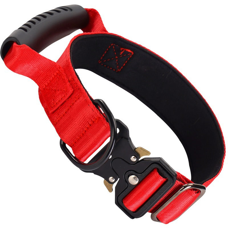 Large Breed Dog Training Collar