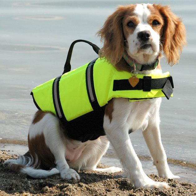 Adjustable Pet Safety Swimming Vest
